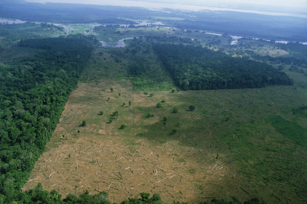 COP29: Five key takeaways from Brazil’s 2035 climate pledge