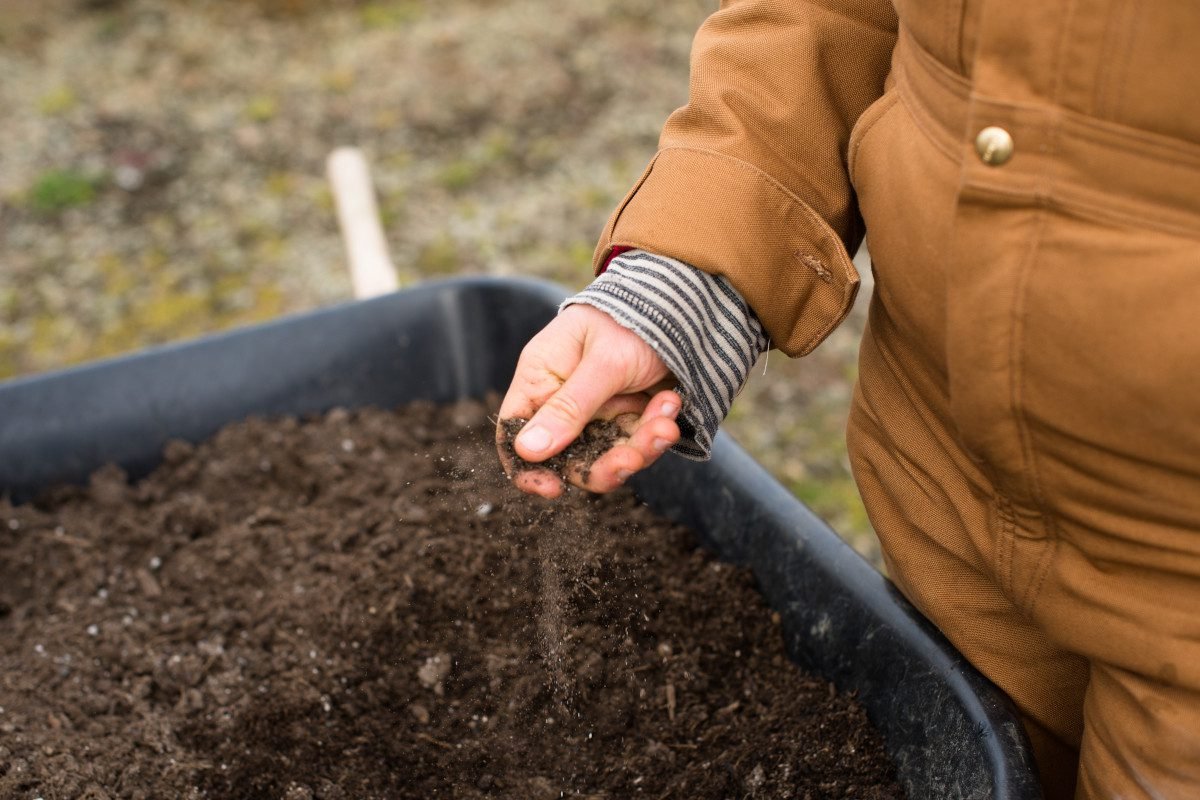 Hidden threats to soil apparent from sewage sludge research