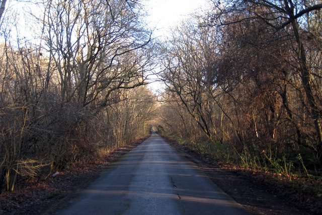 Three men arrested in connection with Hoads Wood illegal waste dumping