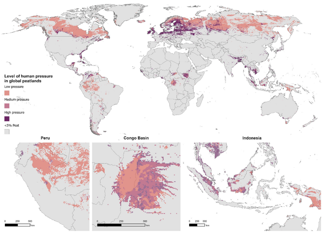 Just 17% of world’s peatlands are protected, new study warns