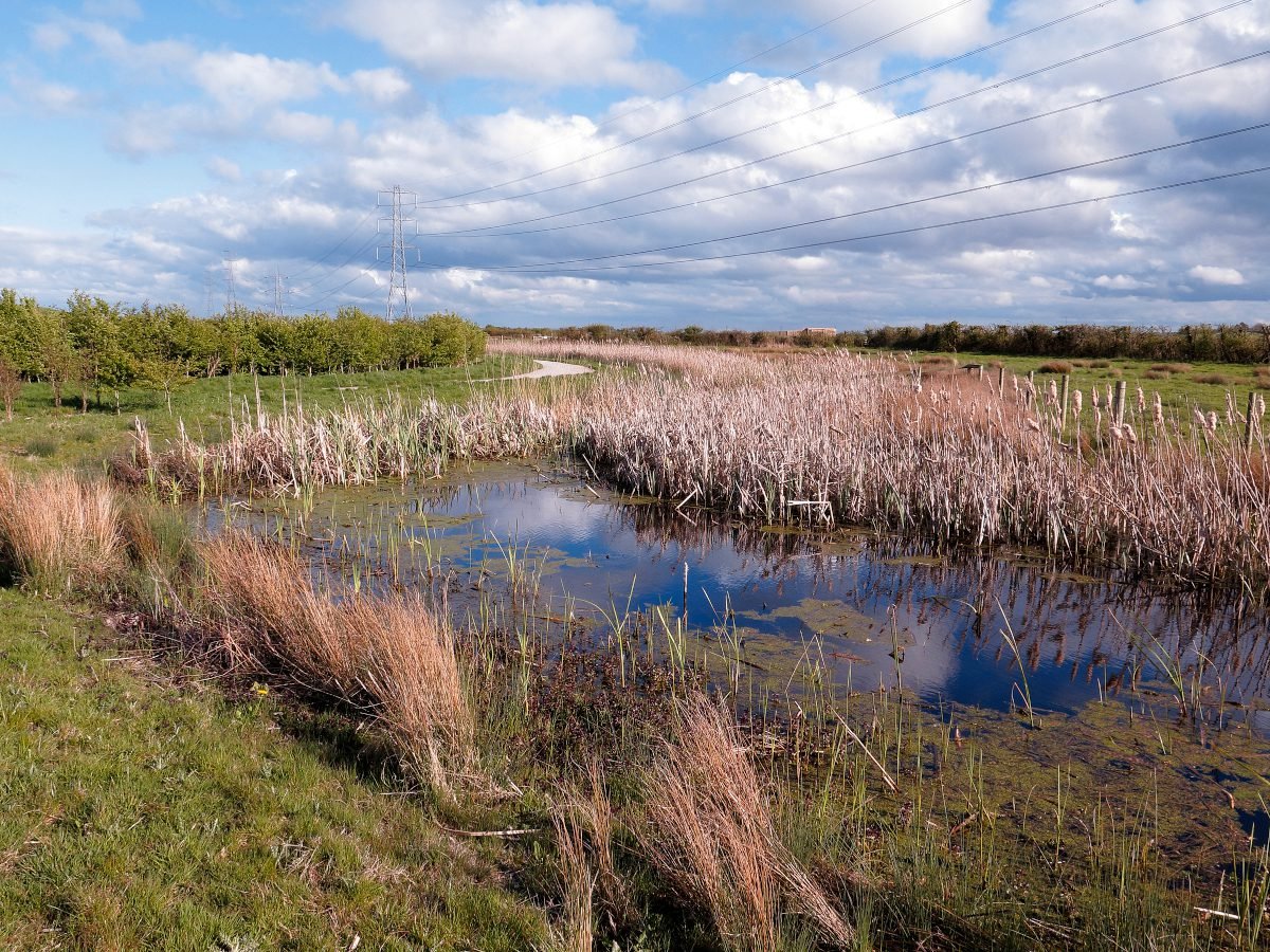 EA research cites new evidence of natural flood management benefits