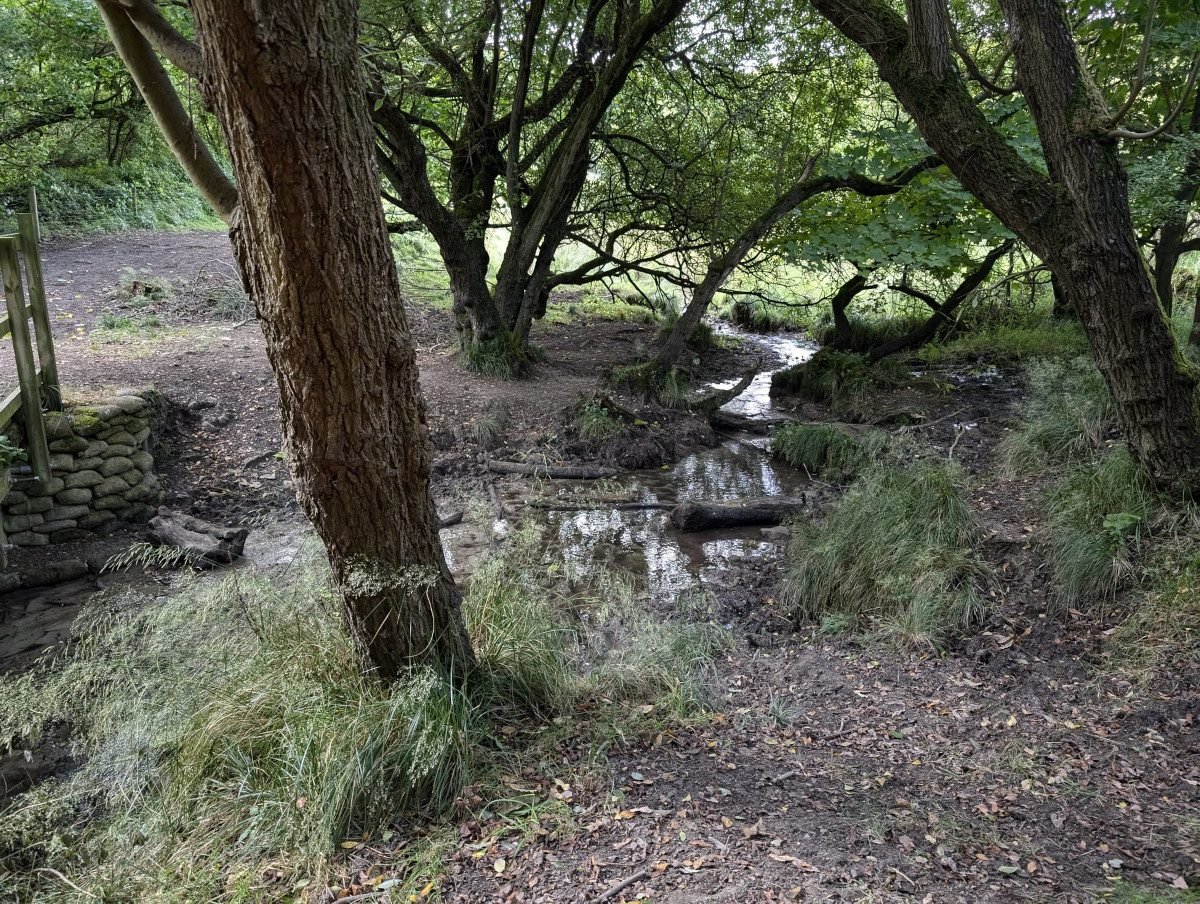 New pilot study detects crucial pollution marker in UK rivers