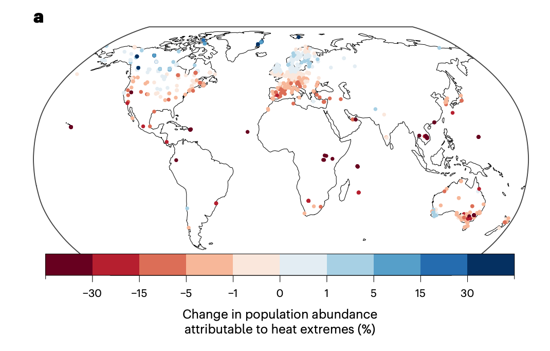Fossil-fuelled heat has caused tropical birds to decline by ‘up to 38%’ since 1950s