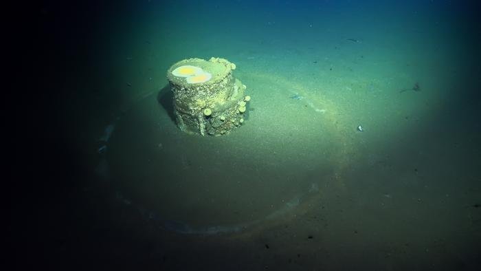 Decades-old barrels of industrial waste still impacting ocean floor off Los Angeles