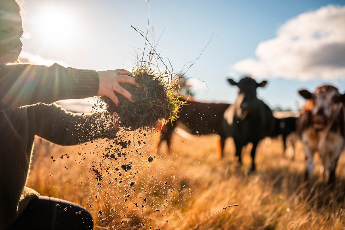 Systems-thinking study identifies agricultural practices that threaten soil health and global food supply