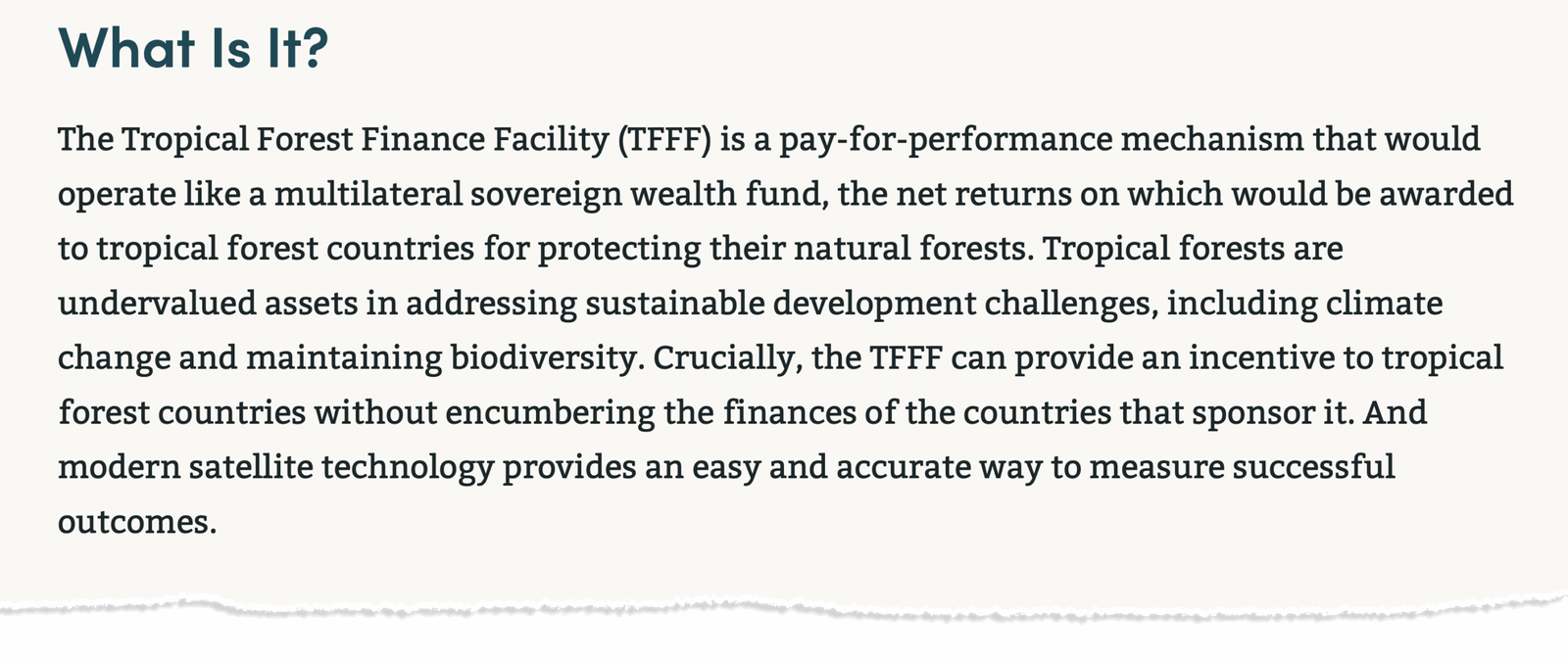 COP30: Could Brazil’s ‘Tropical Forest Forever’ fund help tackle climate change?
