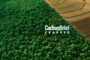 Cropped 5 November 2025: Nature finance at COP30; Storms devastate crops; Brazilian deforestation decline