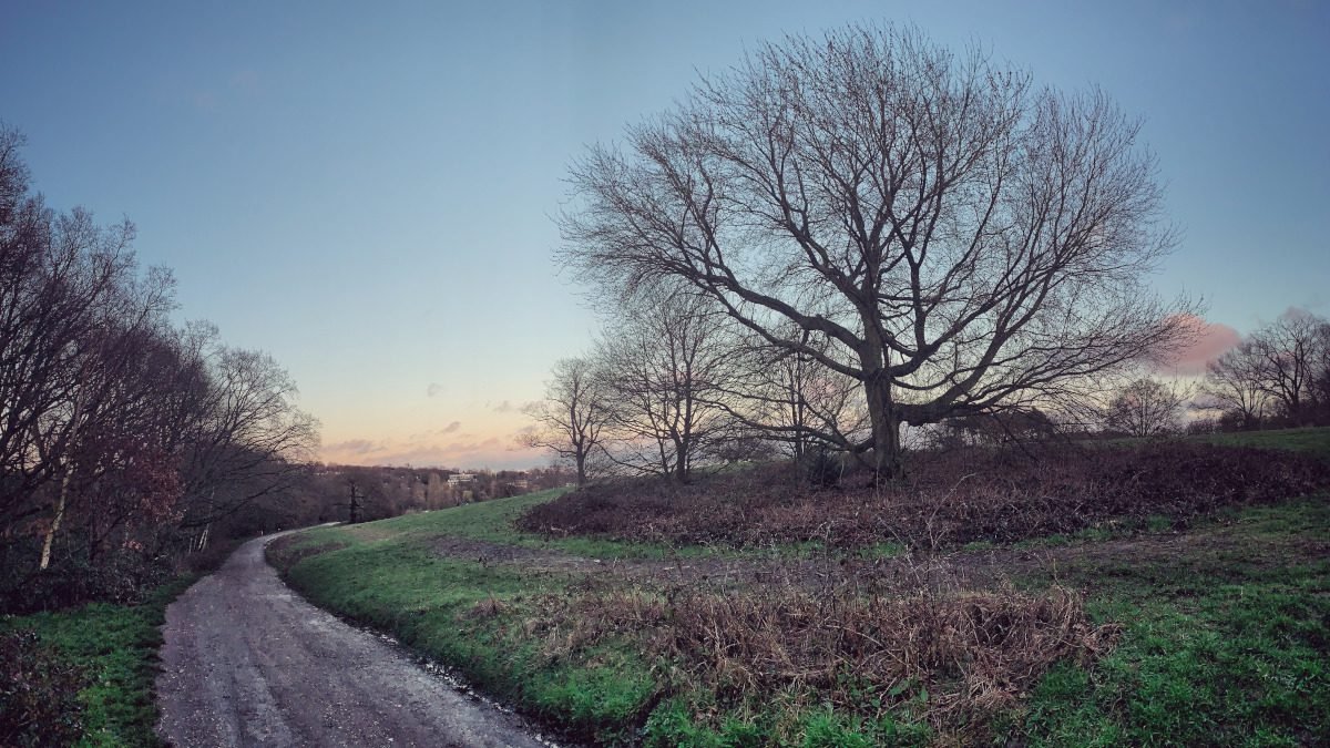 Government announces strengthened Environmental Improvement Plan