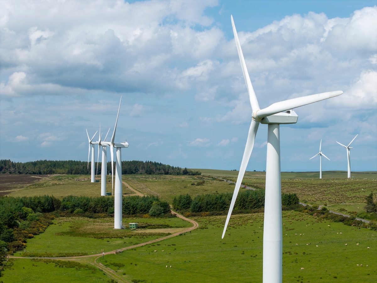 Record wasted wind could have powered every home in London in 2025