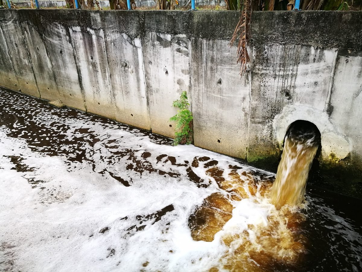 Environmental regulation system “not working as well as it should”, warns Public Accounts Committee