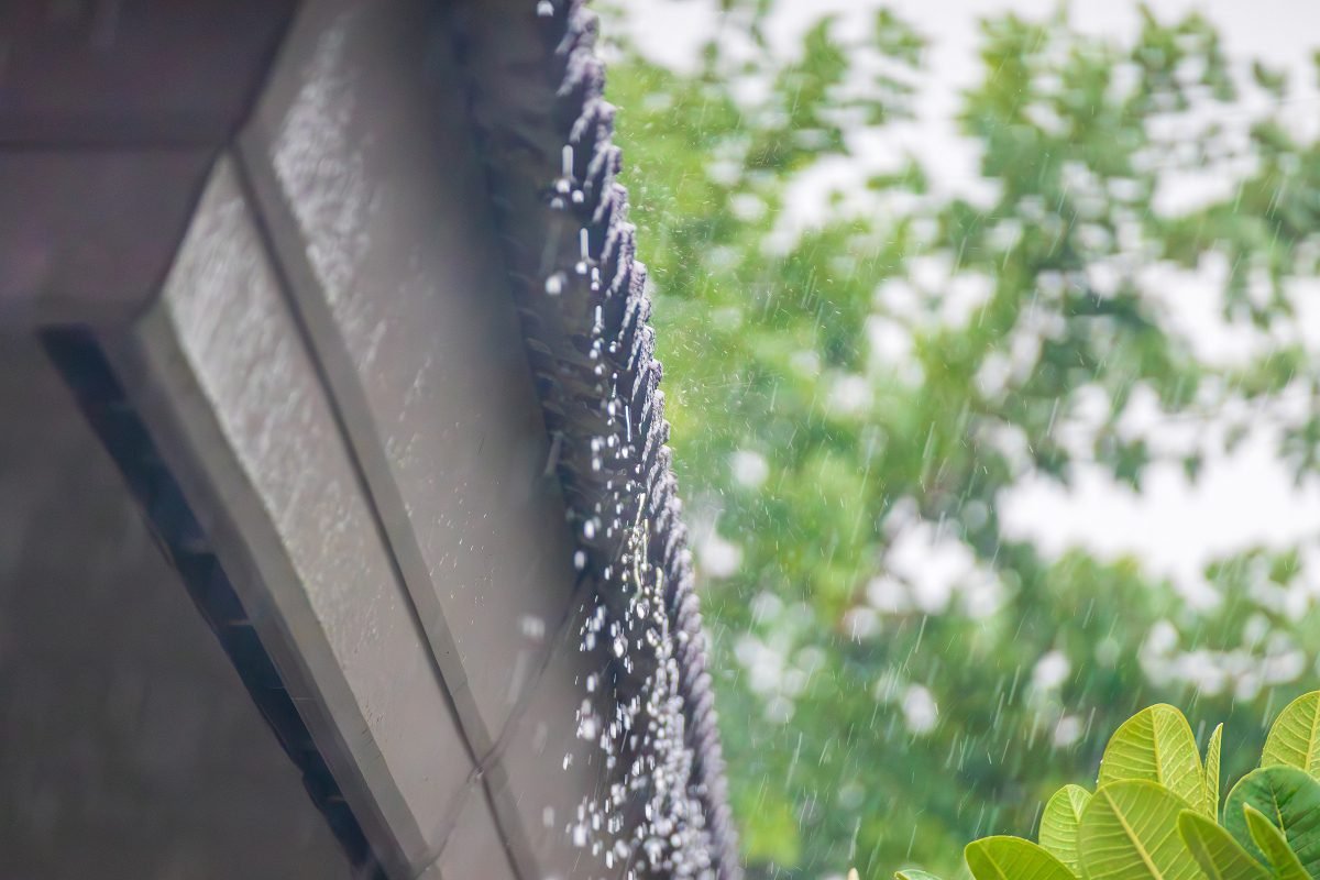 Smart rooftop rainwater systems could help cities tackle extreme heat